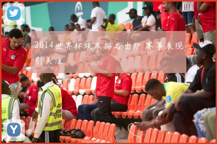 2014世界杯埃及排名出炉 赛事表现引关注
